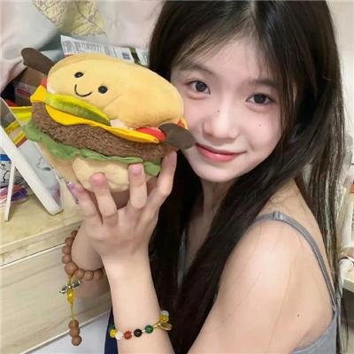 大宋奇案之狸猫换太子传奇