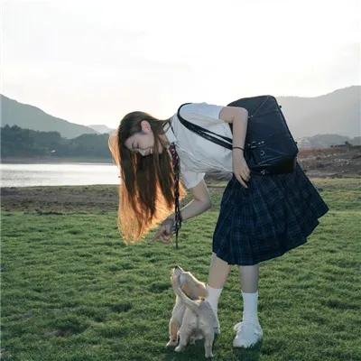 完美的蛇颈龙之日