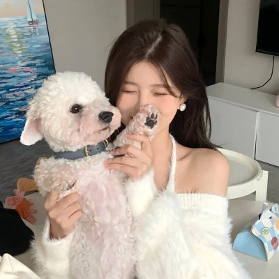 金丝雀驯养手册总裁的金丝雀